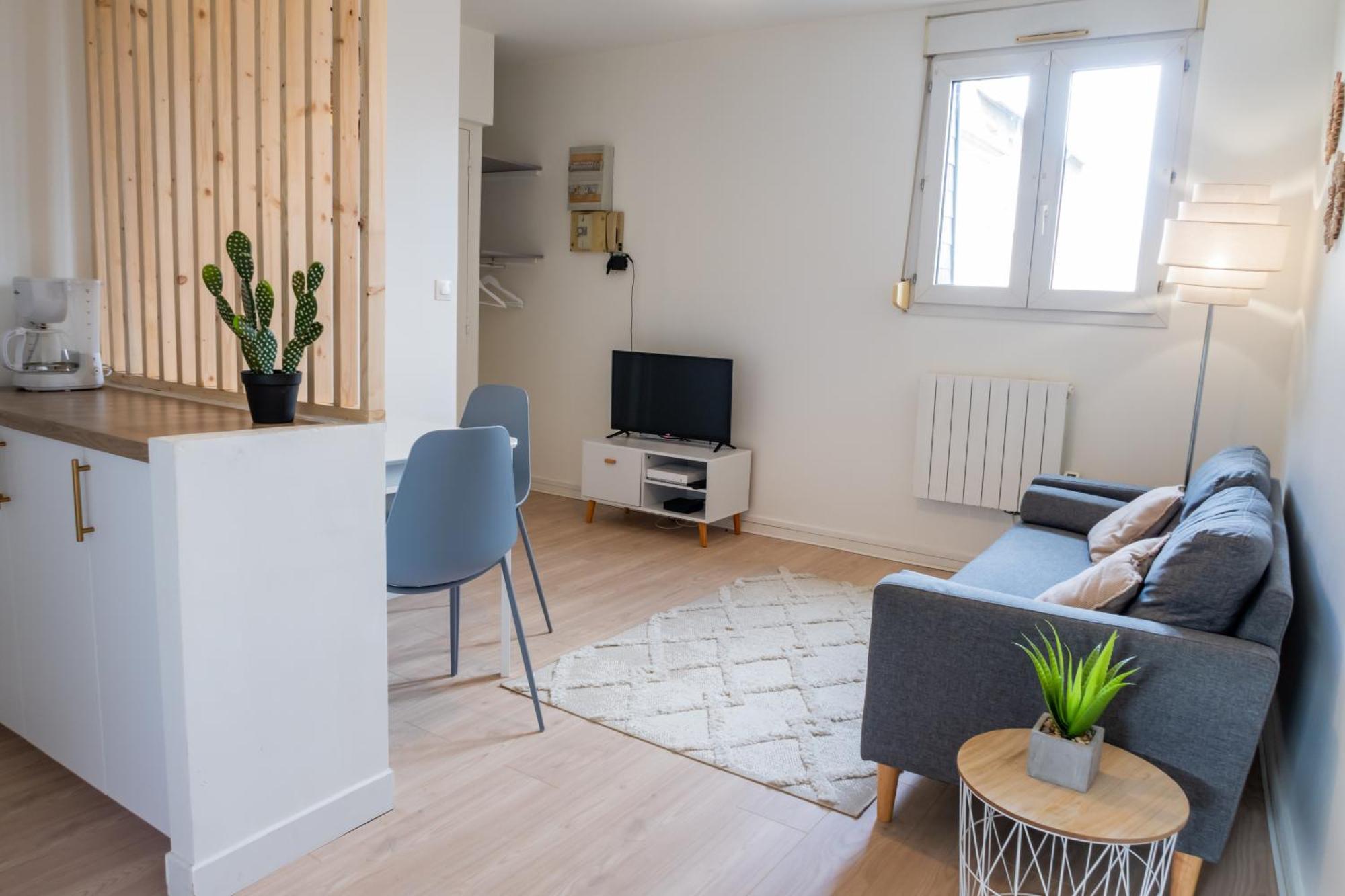 Charmant Appartement Centre-Ville ルマン エクステリア 写真